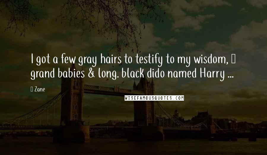 Zane Quotes: I got a few gray hairs to testify to my wisdom, 2 grand babies & long. black dido named Harry ...