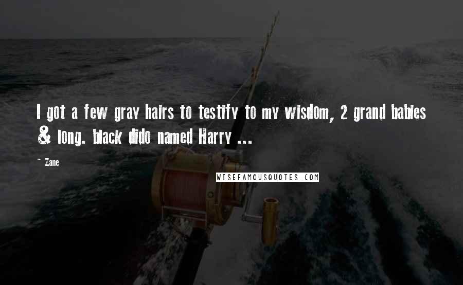 Zane Quotes: I got a few gray hairs to testify to my wisdom, 2 grand babies & long. black dido named Harry ...