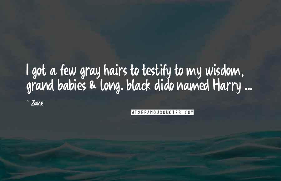 Zane Quotes: I got a few gray hairs to testify to my wisdom, 2 grand babies & long. black dido named Harry ...