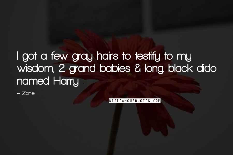 Zane Quotes: I got a few gray hairs to testify to my wisdom, 2 grand babies & long. black dido named Harry ...