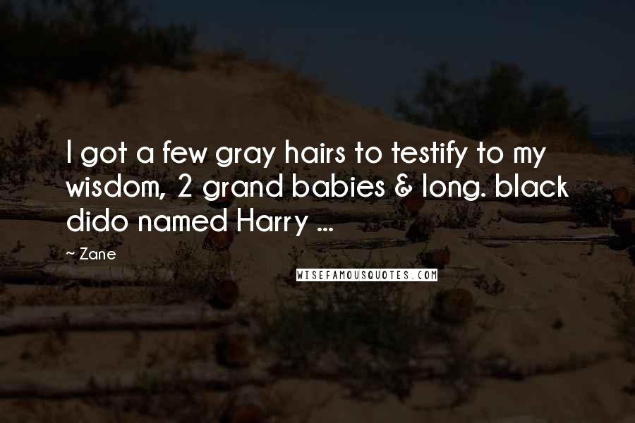 Zane Quotes: I got a few gray hairs to testify to my wisdom, 2 grand babies & long. black dido named Harry ...