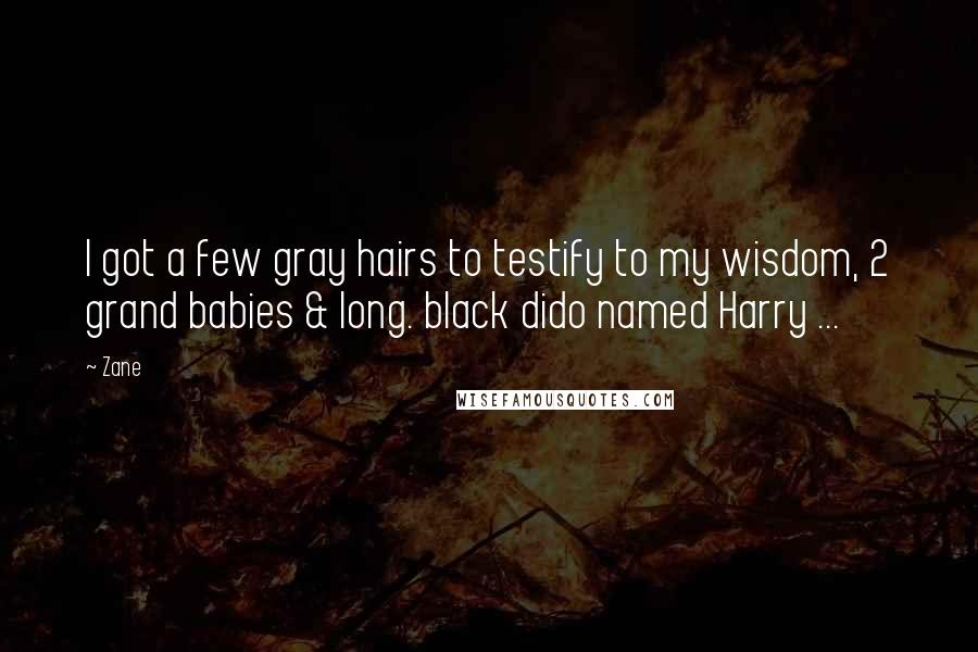 Zane Quotes: I got a few gray hairs to testify to my wisdom, 2 grand babies & long. black dido named Harry ...