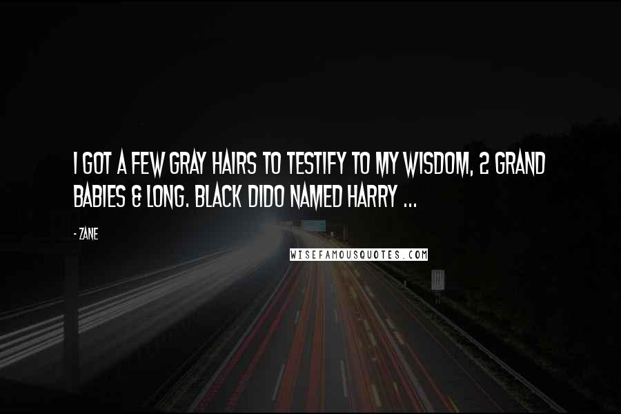 Zane Quotes: I got a few gray hairs to testify to my wisdom, 2 grand babies & long. black dido named Harry ...