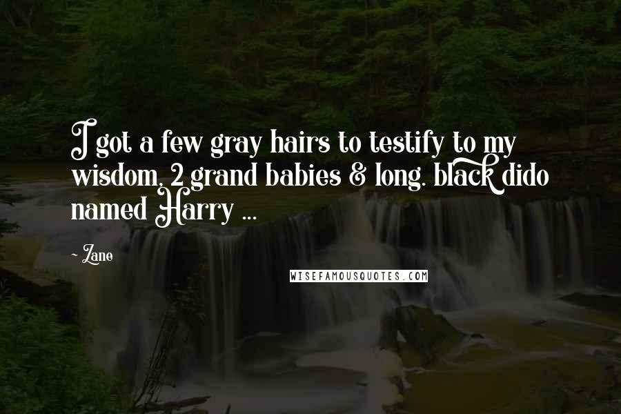 Zane Quotes: I got a few gray hairs to testify to my wisdom, 2 grand babies & long. black dido named Harry ...