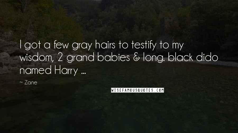 Zane Quotes: I got a few gray hairs to testify to my wisdom, 2 grand babies & long. black dido named Harry ...