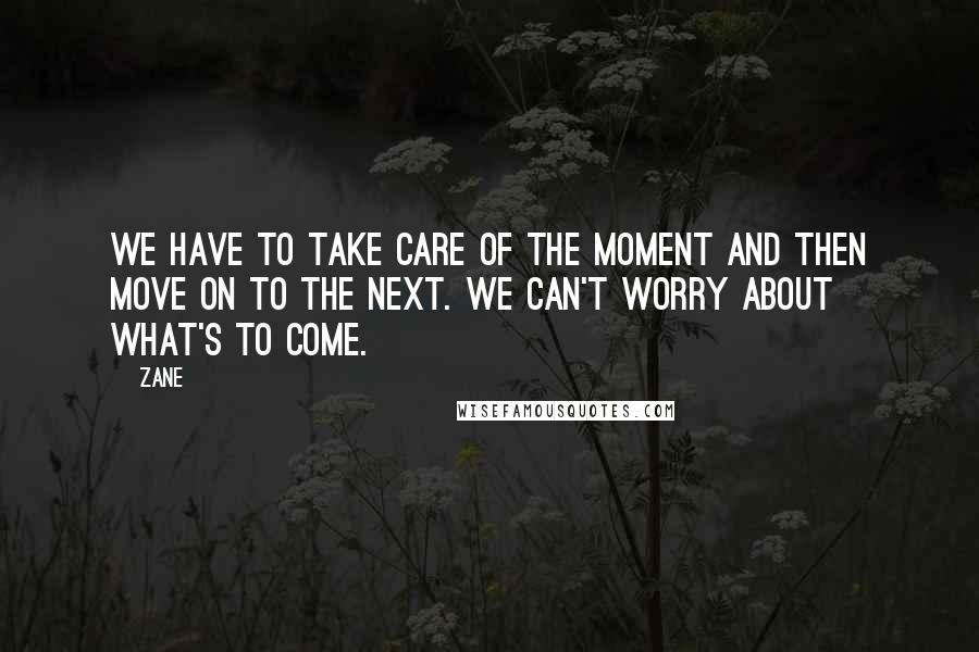 Zane Quotes: We have to take care of the moment and then move on to the next. We can't worry about what's to come.