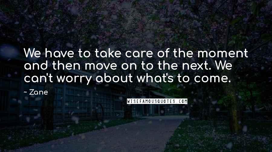 Zane Quotes: We have to take care of the moment and then move on to the next. We can't worry about what's to come.