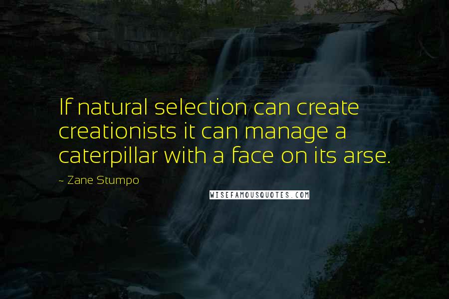 Zane Stumpo Quotes: If natural selection can create creationists it can manage a caterpillar with a face on its arse.