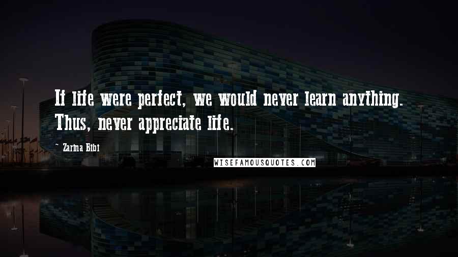 Zarina Bibi Quotes: If life were perfect, we would never learn anything. Thus, never appreciate life.