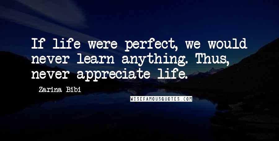 Zarina Bibi Quotes: If life were perfect, we would never learn anything. Thus, never appreciate life.