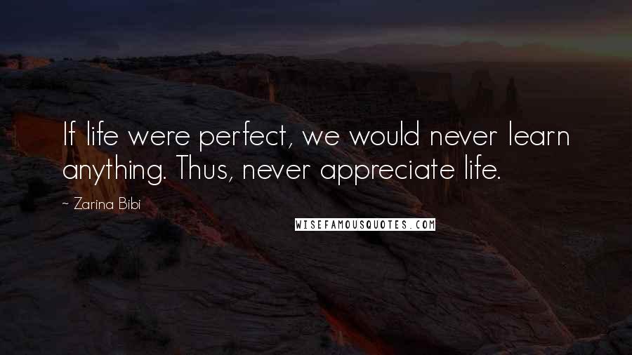 Zarina Bibi Quotes: If life were perfect, we would never learn anything. Thus, never appreciate life.