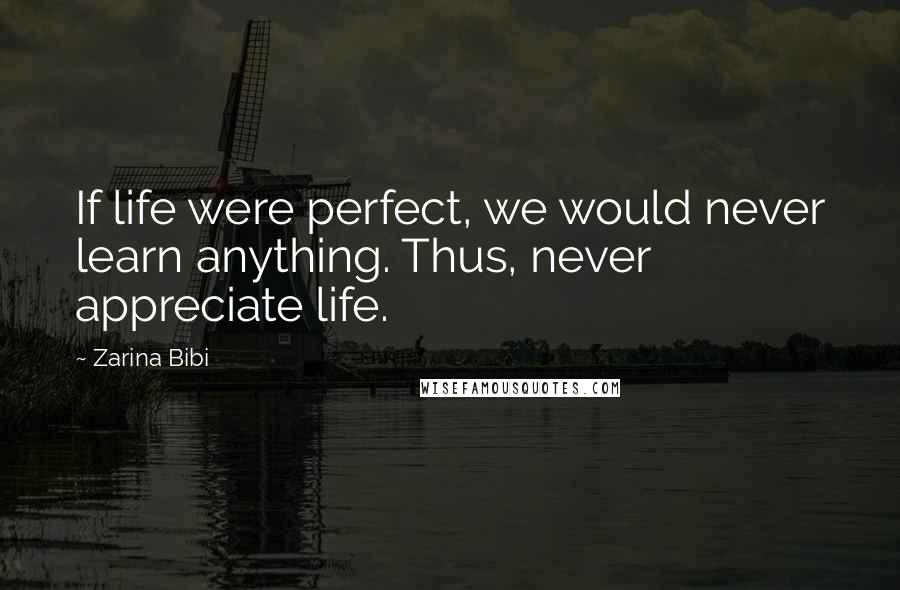 Zarina Bibi Quotes: If life were perfect, we would never learn anything. Thus, never appreciate life.