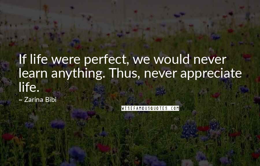 Zarina Bibi Quotes: If life were perfect, we would never learn anything. Thus, never appreciate life.