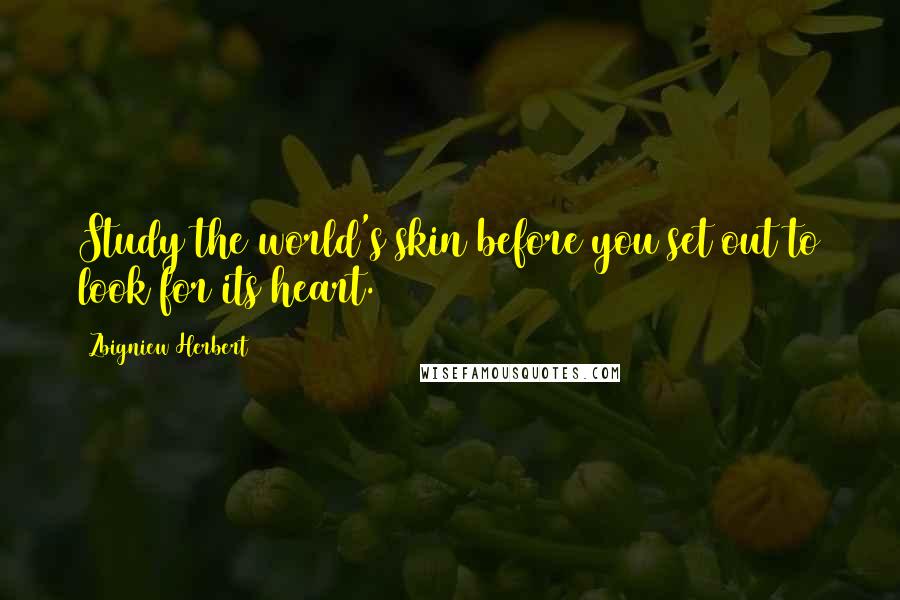 Zbigniew Herbert Quotes: Study the world's skin before you set out to look for its heart.