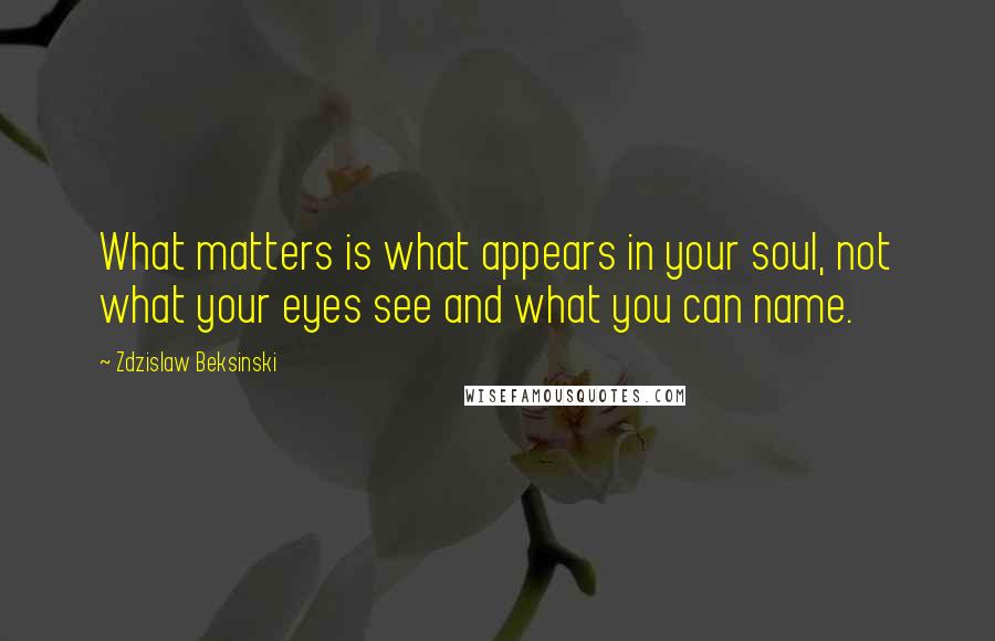Zdzislaw Beksinski Quotes: What matters is what appears in your soul, not what your eyes see and what you can name.