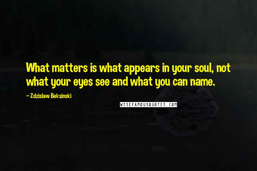 Zdzislaw Beksinski Quotes: What matters is what appears in your soul, not what your eyes see and what you can name.