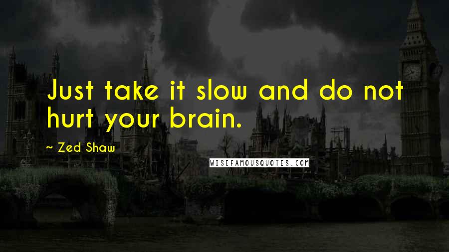 Zed Shaw Quotes: Just take it slow and do not hurt your brain.