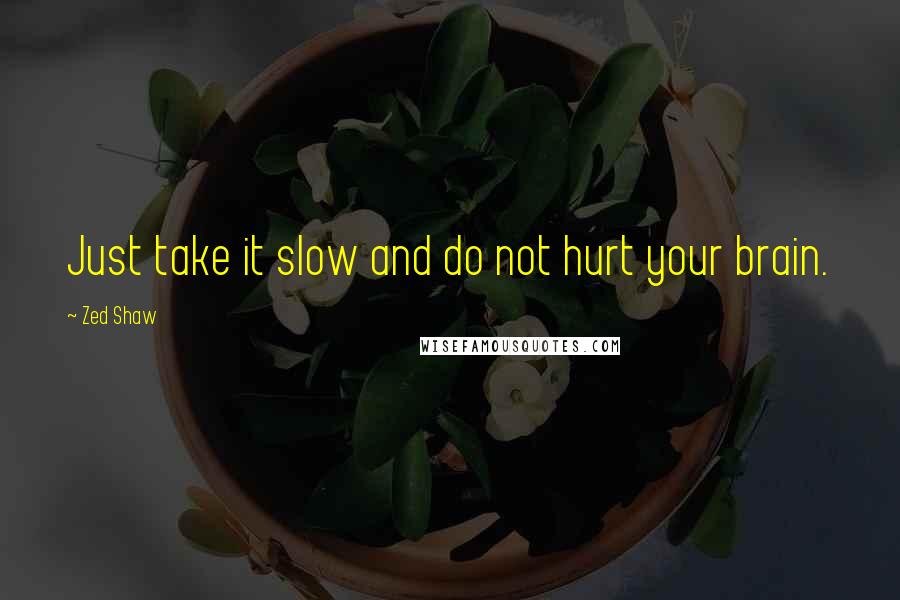 Zed Shaw Quotes: Just take it slow and do not hurt your brain.