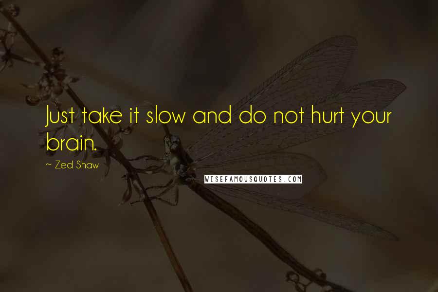 Zed Shaw Quotes: Just take it slow and do not hurt your brain.