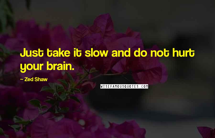 Zed Shaw Quotes: Just take it slow and do not hurt your brain.