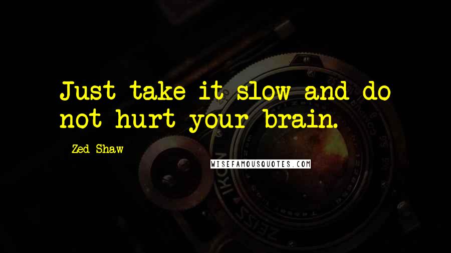 Zed Shaw Quotes: Just take it slow and do not hurt your brain.