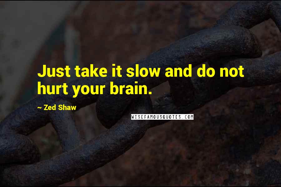 Zed Shaw Quotes: Just take it slow and do not hurt your brain.