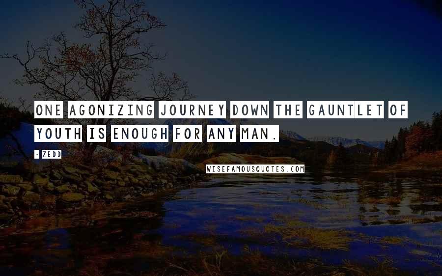 Zedd Quotes: One agonizing journey down the gauntlet of youth is enough for any man.