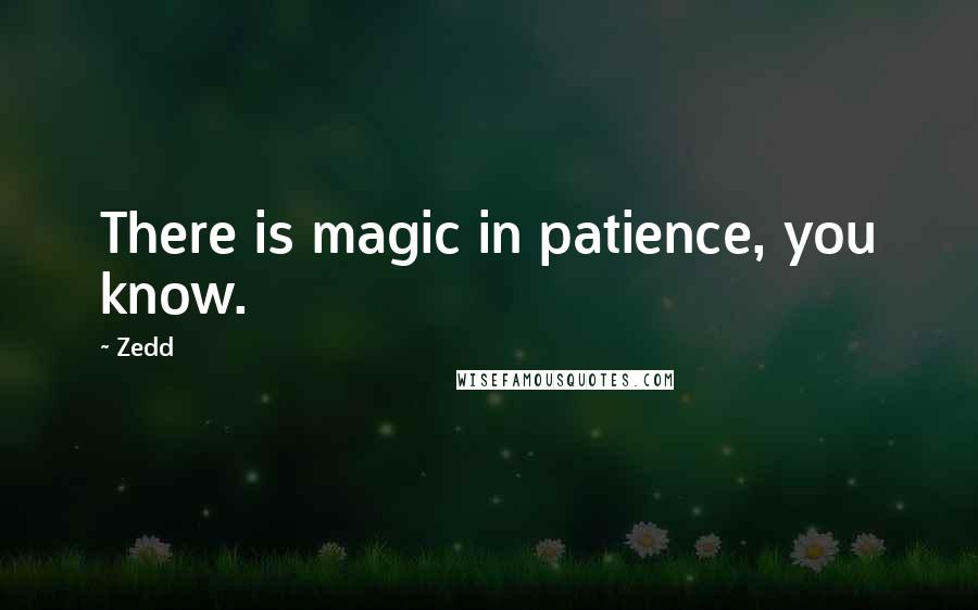Zedd Quotes: There is magic in patience, you know.