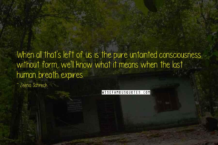 Zeena Schreck Quotes: When all that's left of us is the pure untainted consciousness without form, we'll know what it means when the last human breath expires.