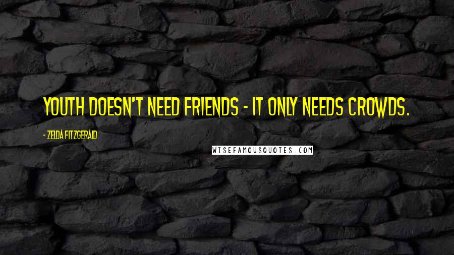 Zelda Fitzgerald Quotes: Youth doesn't need friends - it only needs crowds.