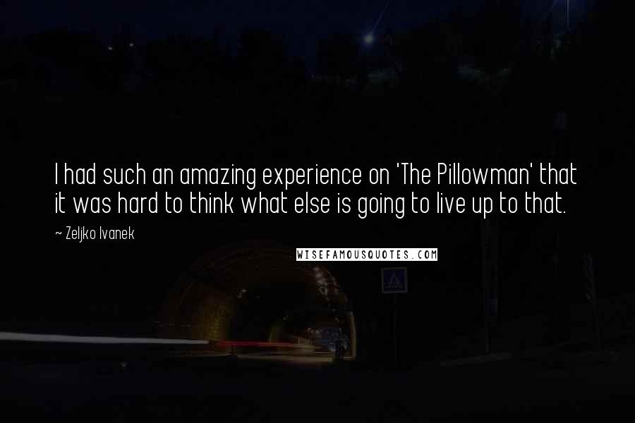 Zeljko Ivanek Quotes: I had such an amazing experience on 'The Pillowman' that it was hard to think what else is going to live up to that.