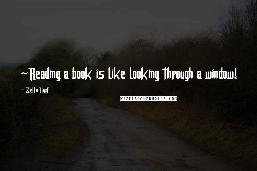 Zetta Hupf Quotes: ~Reading a book is like looking through a window!