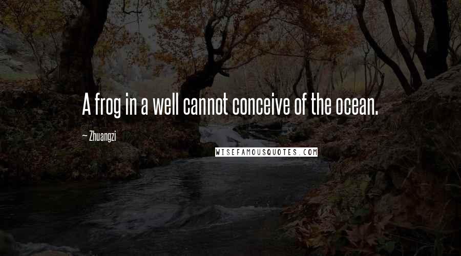 Zhuangzi Quotes: A frog in a well cannot conceive of the ocean.