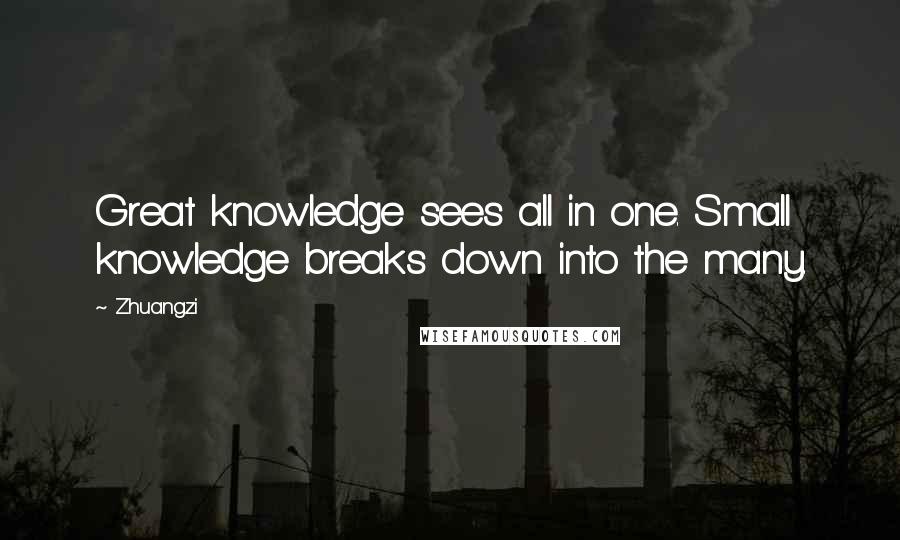 Zhuangzi Quotes: Great knowledge sees all in one. Small knowledge breaks down into the many.