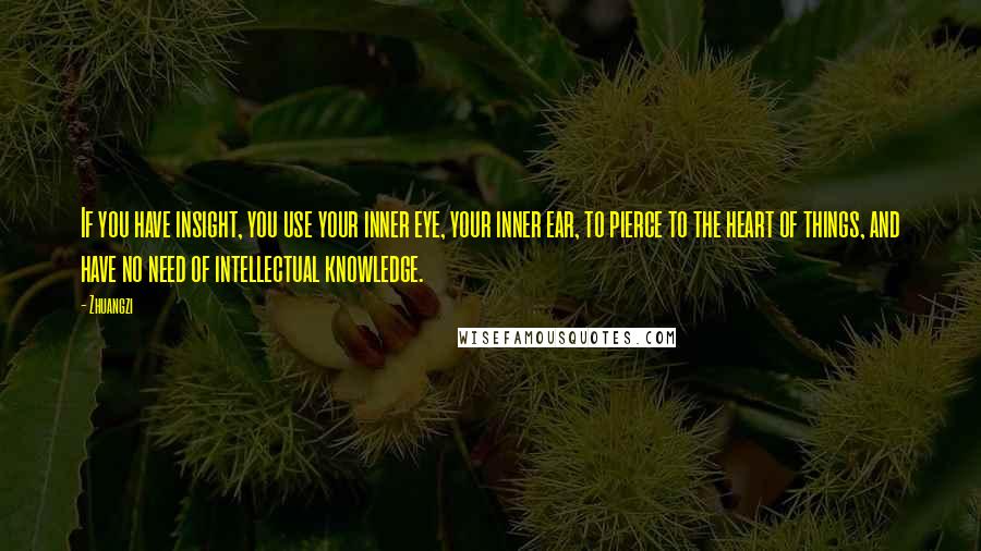 Zhuangzi Quotes: If you have insight, you use your inner eye, your inner ear, to pierce to the heart of things, and have no need of intellectual knowledge.