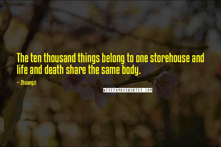 Zhuangzi Quotes: The ten thousand things belong to one storehouse and life and death share the same body.