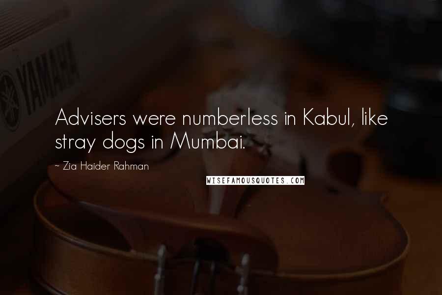 Zia Haider Rahman Quotes: Advisers were numberless in Kabul, like stray dogs in Mumbai.