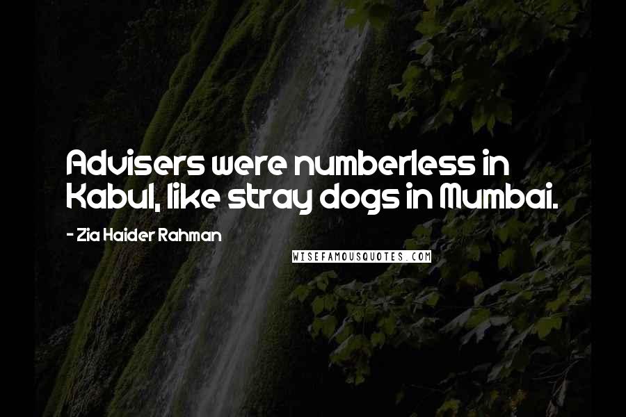 Zia Haider Rahman Quotes: Advisers were numberless in Kabul, like stray dogs in Mumbai.