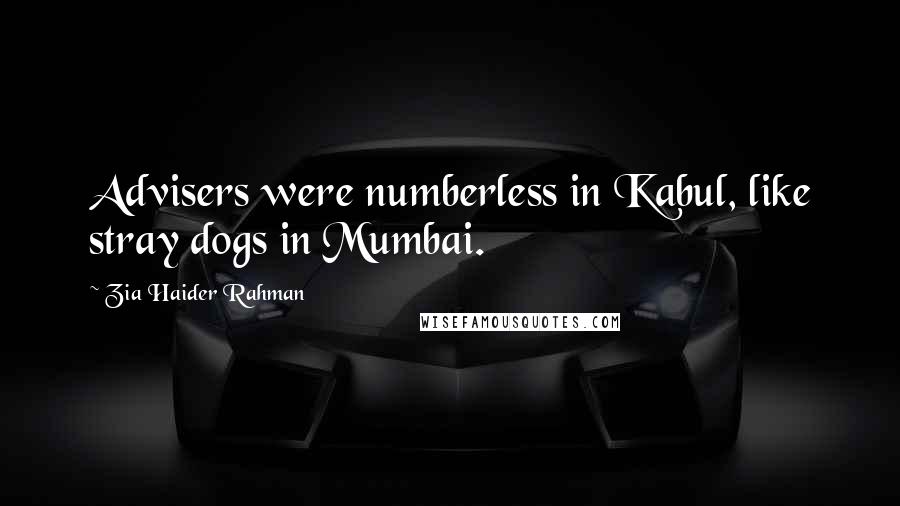 Zia Haider Rahman Quotes: Advisers were numberless in Kabul, like stray dogs in Mumbai.