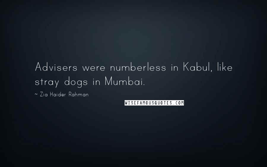 Zia Haider Rahman Quotes: Advisers were numberless in Kabul, like stray dogs in Mumbai.