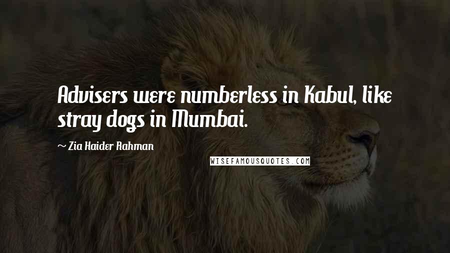 Zia Haider Rahman Quotes: Advisers were numberless in Kabul, like stray dogs in Mumbai.