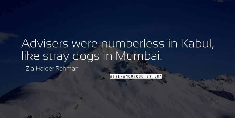 Zia Haider Rahman Quotes: Advisers were numberless in Kabul, like stray dogs in Mumbai.