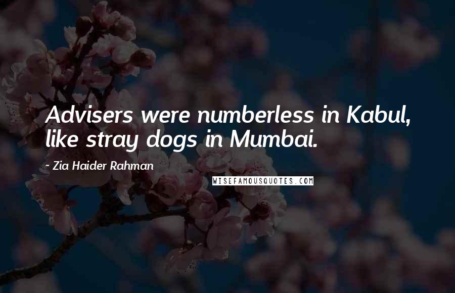 Zia Haider Rahman Quotes: Advisers were numberless in Kabul, like stray dogs in Mumbai.