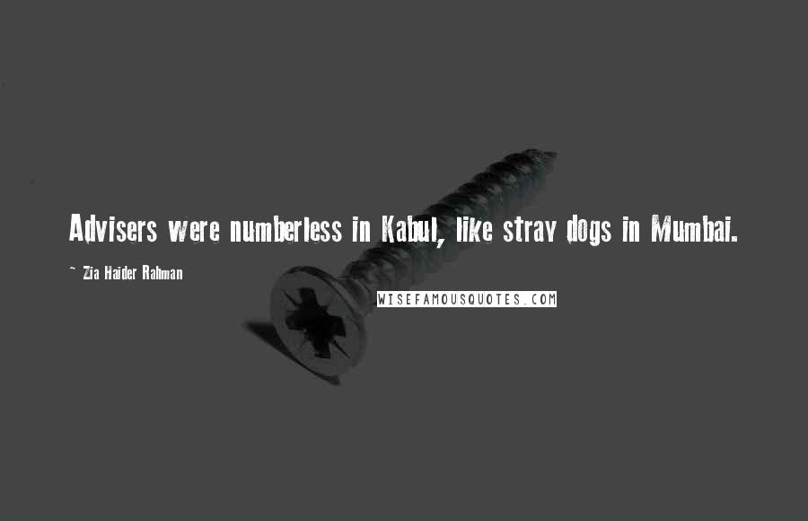 Zia Haider Rahman Quotes: Advisers were numberless in Kabul, like stray dogs in Mumbai.