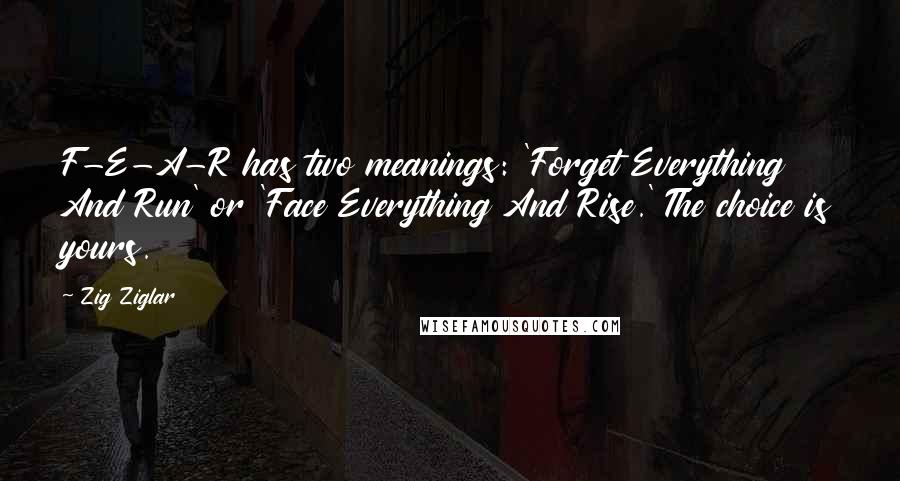 Zig Ziglar Quotes: F-E-A-R has two meanings: 'Forget Everything And Run' or 'Face Everything And Rise.' The choice is yours.