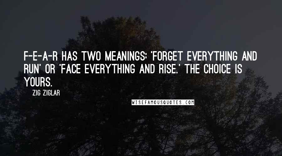Zig Ziglar Quotes: F-E-A-R has two meanings: 'Forget Everything And Run' or 'Face Everything And Rise.' The choice is yours.