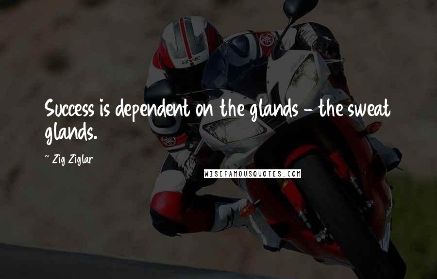 Zig Ziglar Quotes: Success is dependent on the glands - the sweat glands.