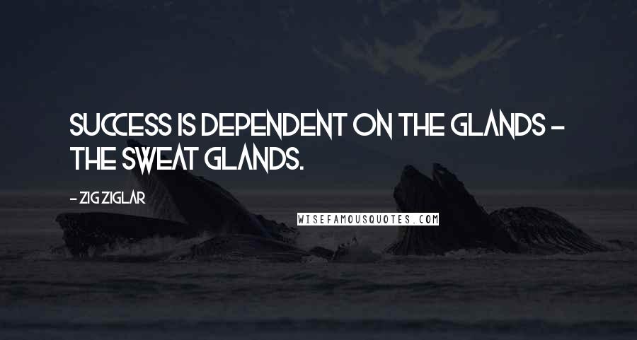 Zig Ziglar Quotes: Success is dependent on the glands - the sweat glands.