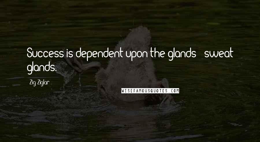 Zig Ziglar Quotes: Success is dependent upon the glands - sweat glands.