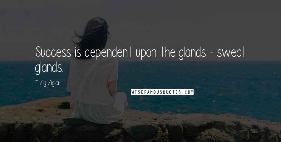 Zig Ziglar Quotes: Success is dependent upon the glands - sweat glands.